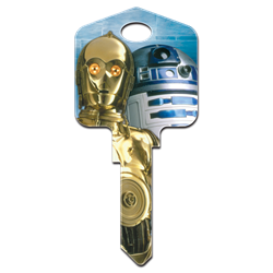 SW6 - C-3PO & R2-D2
